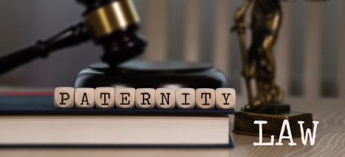 Travis County paternity lawyer